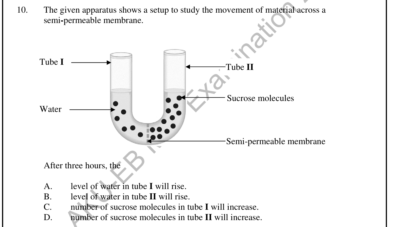 Biology sample question