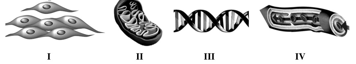 Biology sample question