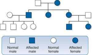 Nervous System Pathology sample question
